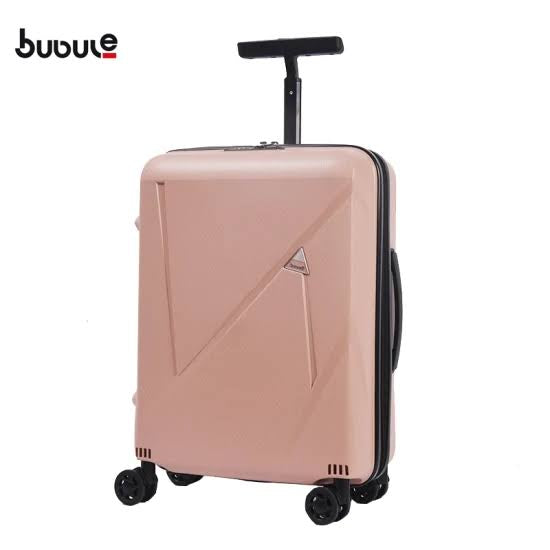 Bubule Snyder luggage